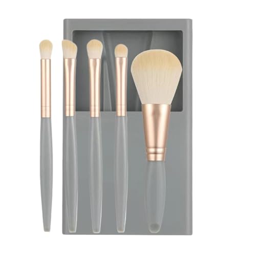 Hogvinnatil Make -up -Bürstensets für Frauen, Reise -Make -up -Bürstenset,Reisegröße Make -up -Bürsten mit Gehäuse und Spiegel | Komplette Funktion Portable Cosmetic Tool für Fundamentpulver Concealer von Hogvinnatil