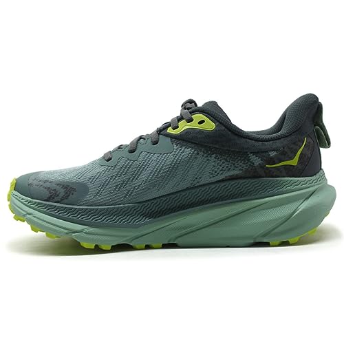 HOKA ONE ONE Damen W Challenger ATR 7 GTX Sneaker, Trellis/Balsam Green, 38 EU von HOKA ONE ONE