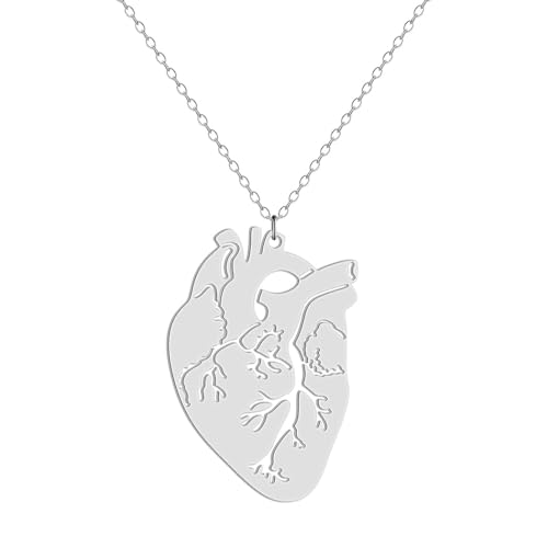 Anatomisches Herz Anhänger Halskette für Frauen Mädchen Edelstahl Anatomie Herz Charm Halskette Biologie Schmuck Geschenk Anatomisches Herz Anhänger Halskette für Frauen Mädchen Edelstahl Anatomie Herz Charm Halskette Biologie Schmuck Geschenk von Hokech