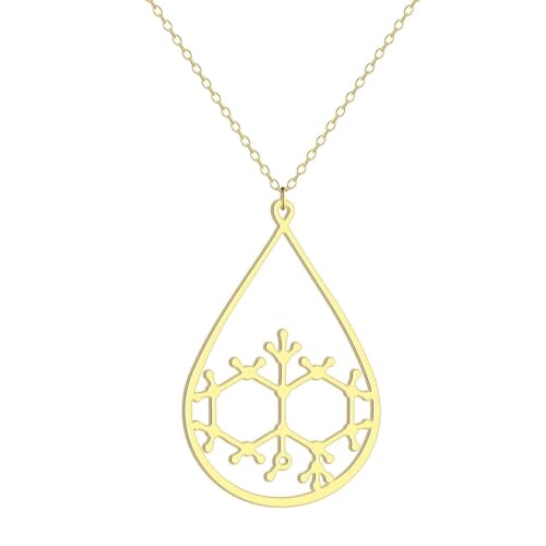 Dainty Petrichor Anhänger Halskette für Frauen Mädchen Edelstahl Geosmin Molekül Charm Halskette Chemie Schmuck Geschenk von Hokech