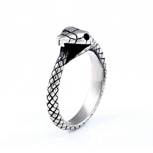 Hokech Retro Nordische Mythologie Männer Ring Punk Edelstahl Biker Tier Schlange Ring für Männer Frauen Mode Wikinger Schmuck Geschenke von Hokech