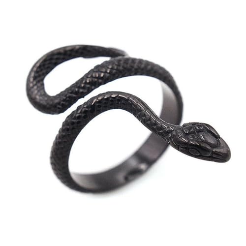 Hokech Retro Nordische Mythologie Männer Ring Punk Edelstahl Biker Tier Schlange Ring für Männer Frauen Mode Wikinger Schmuck Geschenke von Hokech