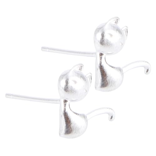 Holibanna 1 Paar Sterling Silber Ohrringe für Damen Einfache und Stilvolle Ohrstecker Hautfreundliche Ohraccessoires für Alltag und für Frauen von Holibanna