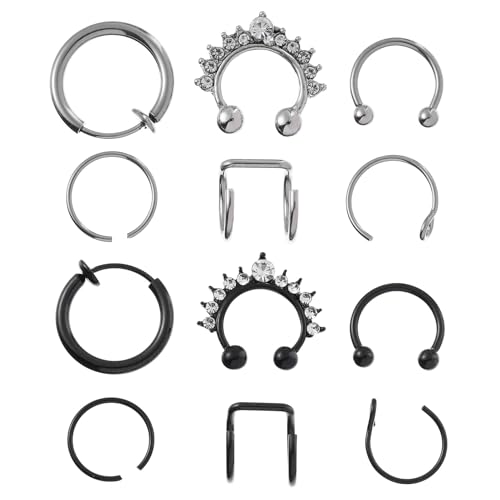 Holibanna 12 Stück Teiliges C förmige Nasenringe aus Edelstahl Dekorative Nasenstecker Langlebig und Modisch Unisex Design für Damen und Herren für Alltag Partys und Fotosessions von Holibanna
