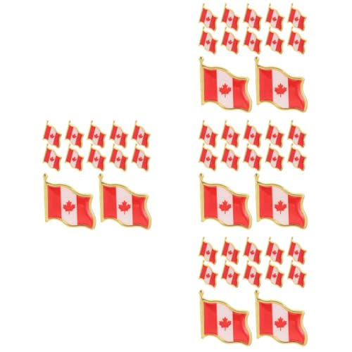 Holibanna 4 Sätze Flaggen Brosche Dekorative Anstecknadel Für Männer Und Frauen Hochwertiges Abzeichen Für Kleidung Wiederverwendbar Und Einfach Zu Tragen 25 Stück * 4 von Holibanna