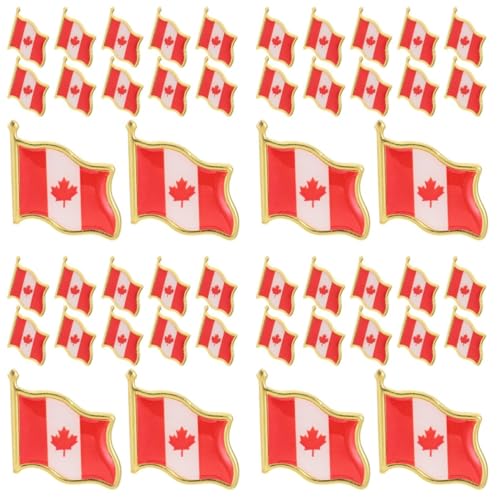 Holibanna 4 Sätze Metall Flagge Anstecknadel Nationalflagge Brosche Für Kleidung Souvenir Für Feiern Und Veranstaltungen Langlebig Und Elegant Für Männer Und Frauen 25 Stück * 4 von Holibanna