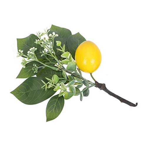 Holibanna Künstliche Zitronen Vase Dekoration Realistische Blumen Zweig für DIY Ornament für Wohnzimmer und Esstisch Langlebig und Wiederverwendbar Holibanna Künstliche Zitronen Vase Dekoration Realistische Blumen Zweig für DIY Ornament für Wohnzimmer und Esstisch Langlebig und Wiederverwendbar von Holibanna