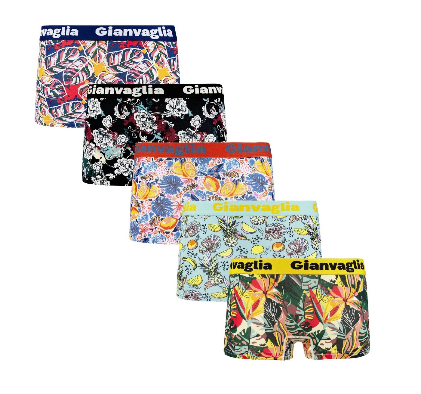 Holland Underwear Panty 5 x Damen Boxershorts Slips Panty Hot Pants Hipster GIANVAGLIA 8808 von Holland Underwear