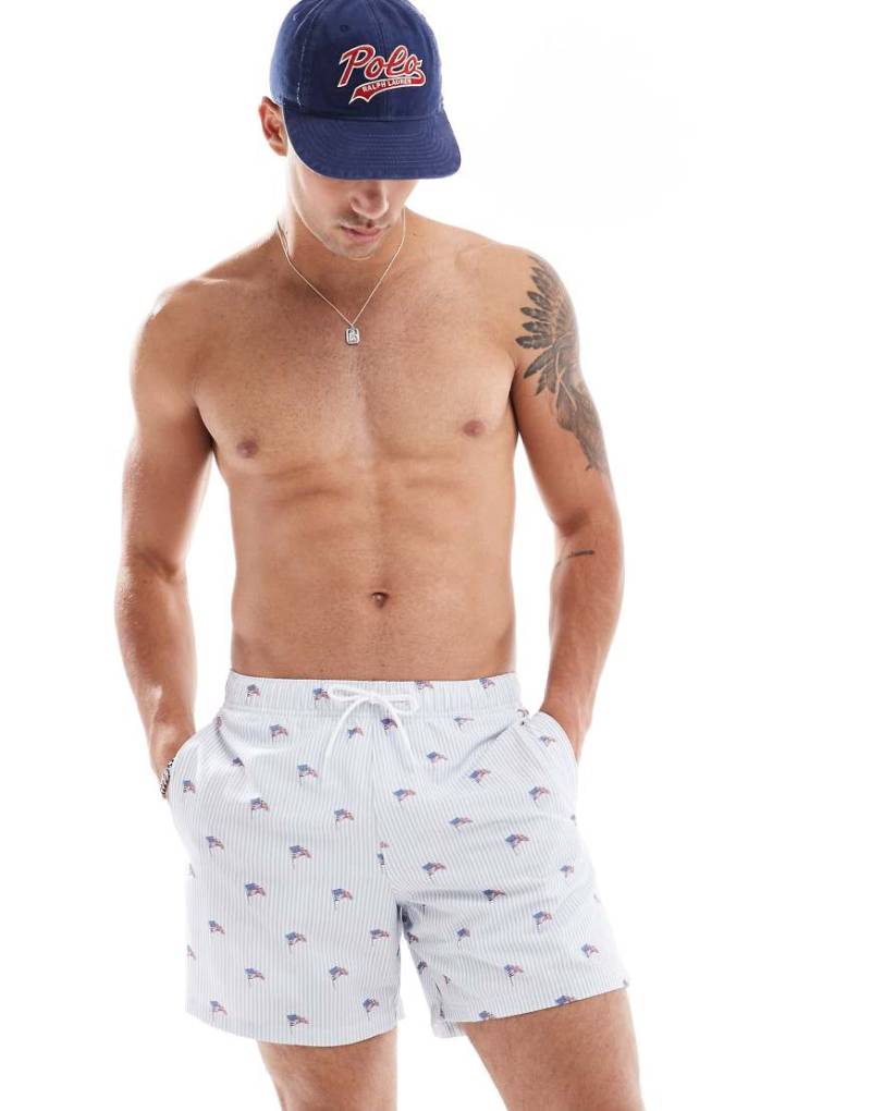 Hollister - Bademode - Shorts in Hellblau mit Print mit USA-Flagge von Hollister