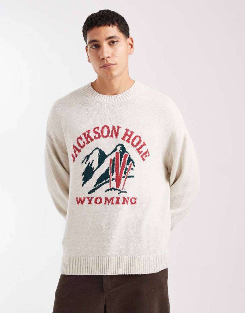 Hollister - Kastiger Pullover in Weiß mit offenem Saum und Ski-Motiv von Hollister