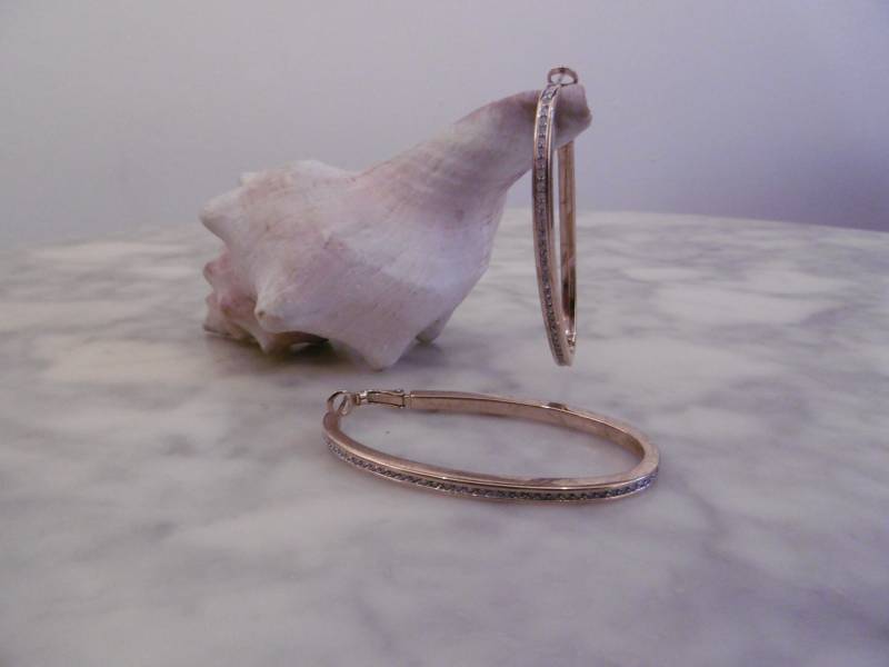 Bezaubernde Große Creolen von Holunderhof