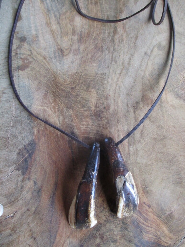 Buffalo Bison Teeth Halskette Cosplay Kostenloser Versand Buffalo Bison Teeth Halskette Cosplay Kostenloser Versand von HolyDogsShop