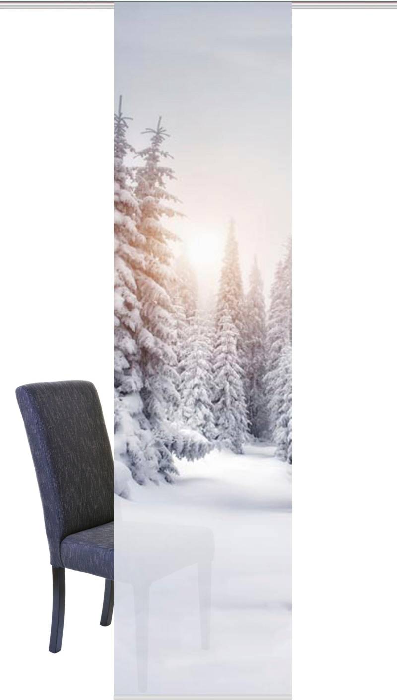 HOME WOHNIDEEN Schiebegardine "WINTERSONNE" Paneelwagen 1 Stk. tlg. HxB: 245x60, Schiebevorhang Digitaldruck von Home Wohnideen