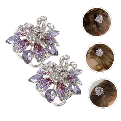 Homoyoyo 2 Stück Mini Haarklammern Haarklammern für Mädchen Haarschmuck Kleiner Haarclip mit Stabilem Griff für Alltag und Festlichkeiten von Homoyoyo