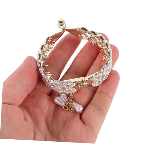 Homoyoyo 2stücke Pferdeschwanz-clip Mit Strass Und Krallenclip Große Haarklammer Haarclips Für Damen von Homoyoyo