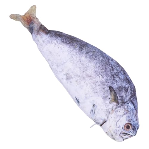 Homoyoyo Fischförmiges Federmäppchen Wasserdichter Stiftbeutel mit Realistischem Design Vielseitig Einsetzbar als Make Up Organizer für Schreibwaren für Bürobedarf von Homoyoyo