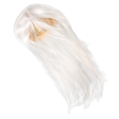 Homoyoyo Lange Gerade Männerperücke Hochtemperaturseide Weiße Cosplay Perücke für Hanfu Kostüme Glatte Herrenperücke für Halloween und von Homoyoyo
