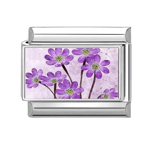 Hoomall Italian Charm Bracelet Charms Blumen Silber Floral 9mm Edelstahl Italian Module für Damen DIY Italian Style Charms Modular Italienische Armbänder Personalisiert Geschenk (Blau Lila Margeriten) von Hoomall