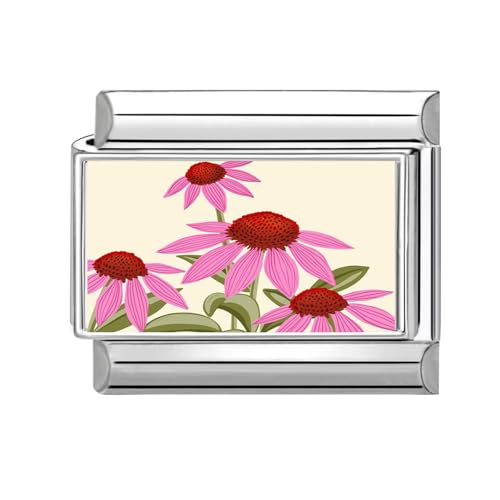 Hoomall Italian Charm Bracelet Charms Blumen Silber Floral 9mm Edelstahl Italian Module für Damen DIY Italian Style Charms Modular Italienische Armbänder Personalisiert Geschenk (Rosa Sonnenhut) von Hoomall