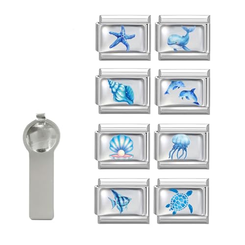 Hoomall Italian Charm Bracelet Gold Silber Anhänger Set 9pcs Italian Style Charms mit Tool DIY 9mm Italienisches Armbänder Glieder für Damen Italian Charms Module Mädchen Geschenk (Silber Blue) von Hoomall