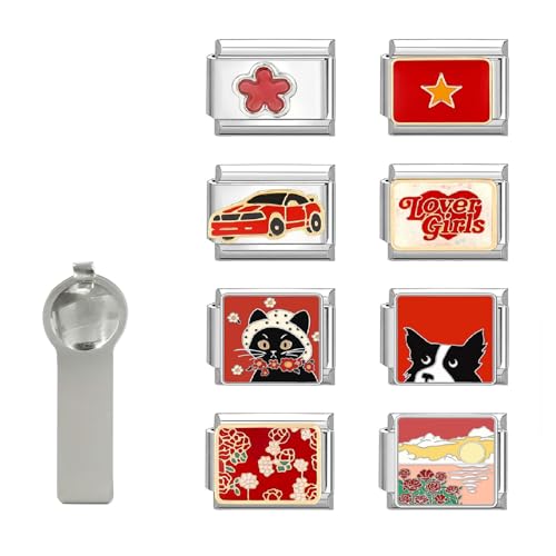 Hoomall Italian Charm Bracelet Gold Silber Anhänger Set 9pcs Italian Style Charms mit Tool DIY 9mm Italienisches Armbänder Glieder für Damen Italian Charms Module für Mädchen Geschenk (Silber Rot) von Hoomall