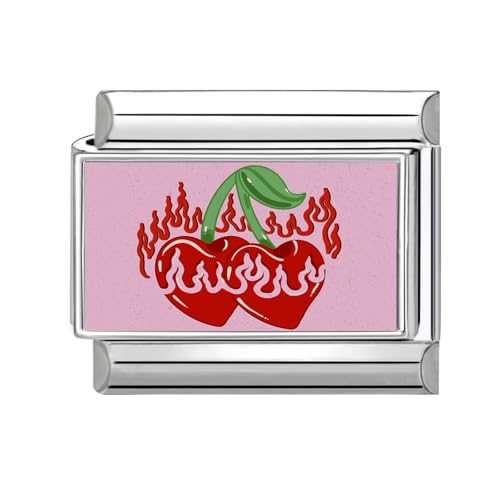 Hoomall Italian Charm Bracelet Silber 9mm Edelstahl Italian Charms DIY Abnehmbar Module für Italienische Armbänder Niedlich Rosa Italian Style Armband Zubehör Damen Mädchen Geschenk(Passionate Cherry) von Hoomall