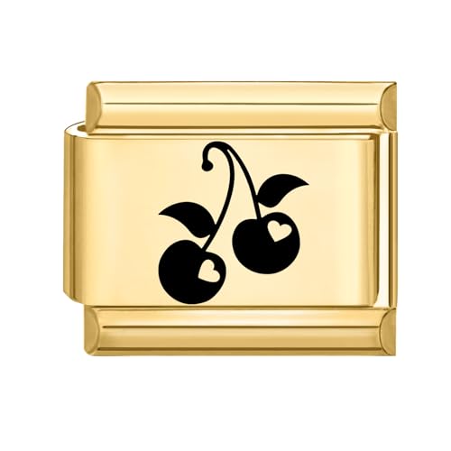 Hoomall Italian Charms Armband Gold Damen 9mm Vergoldet Italian Charm Bracelet Module DIY Abnehmbar Italian Style Charms Edelstahl Italienische Armband Zubehör Nomination Glieder Girls (Kirsche Heart) von Hoomall