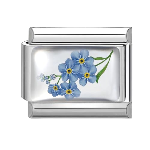 Hoomall Italienische Armband Charms Silber UV Harz Italian Charm Bracelet Blumen Muster 9mm Abnehmbare DIY Charms für Armbänder Edelstahl Italian Stil Module Schmuck Damen Geschenk (Blau Blumen) von Hoomall