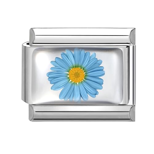 Hoomall Italienische Armband Charms Silber UV Harz Italian Charm Bracelet Blumen Muster 9mm Abnehmbare DIY Charms für Armbänder Edelstahl Italian Stil Module Schmuck Damen Geschenk (Blau Gerbera) von Hoomall