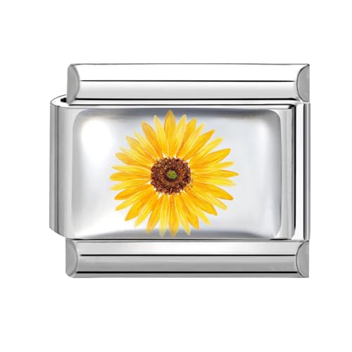 Hoomall Italienische Armband Charms Silber UV Harz Italian Charm Bracelet Blumen Muster 9mm Abnehmbare DIY Charms für Armbänder Edelstahl Italian Stil Module Schmuck Damen Geschenk (Gelb Sonnenblume) von Hoomall