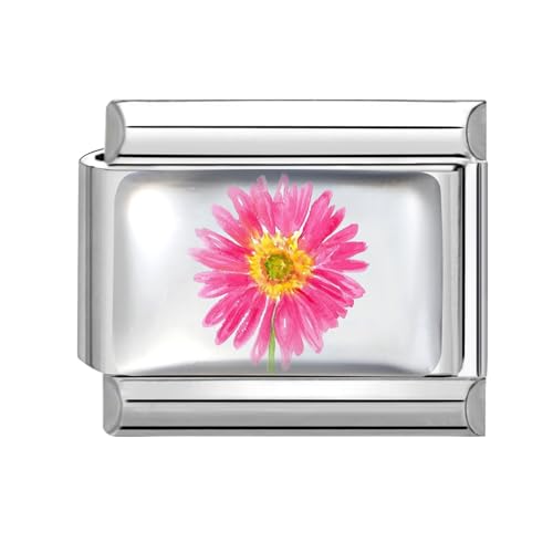 Hoomall Italienische Armband Charms Silber UV Harz Italian Charm Bracelet Blumen Muster 9mm Abnehmbare DIY Charms für Armbänder Edelstahl Italian Stil Module Schmuck Damen Geschenk (Rosa Gerbera) von Hoomall