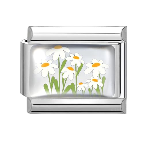Hoomall Italienische Armband Charms Silber UV Harz Italian Charm Bracelet Blumen Muster 9mm Abnehmbare DIY Charms für Armbänder Edelstahl Italian Stil Module Schmuck Damen Geschenk (Gänseblümchen) von Hoomall