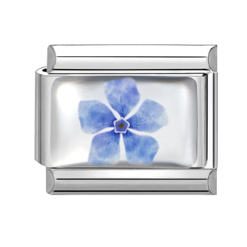 Hoomall Italienische Armband Charms Silber UV Harz Italian Charm Bracelet Blumen Muster 9mm Abnehmbare DIY Charms für Armbänder Edelstahl Italian Stil Module Schmuck Zubehör Damen Geschenk (Blau Blume von Hoomall