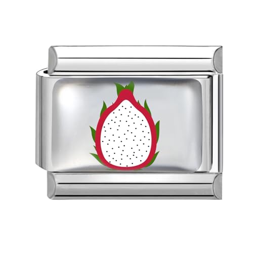 Hoomall Italienische Armband Charms Silber UV Harz Obst Italian Charm Bracelet 9mm Edelstahl Italian Charms Module DIY Abnehmbare Armbänder Zubehör Geschenkidee für Damen Mädchen (Drachenfrucht) von Hoomall