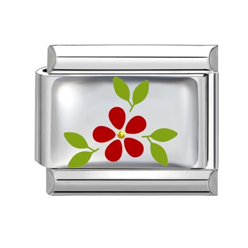 Hoomall Silber Italienisches Armband Charms Modular DIY 9mm Edelstahl Charms Rot Mustern UV Harz Italian Style Charm Module Abnehmbar Italian Bracelet Charm für Damen Geschenk (Blumen mit Blättern) von Hoomall
