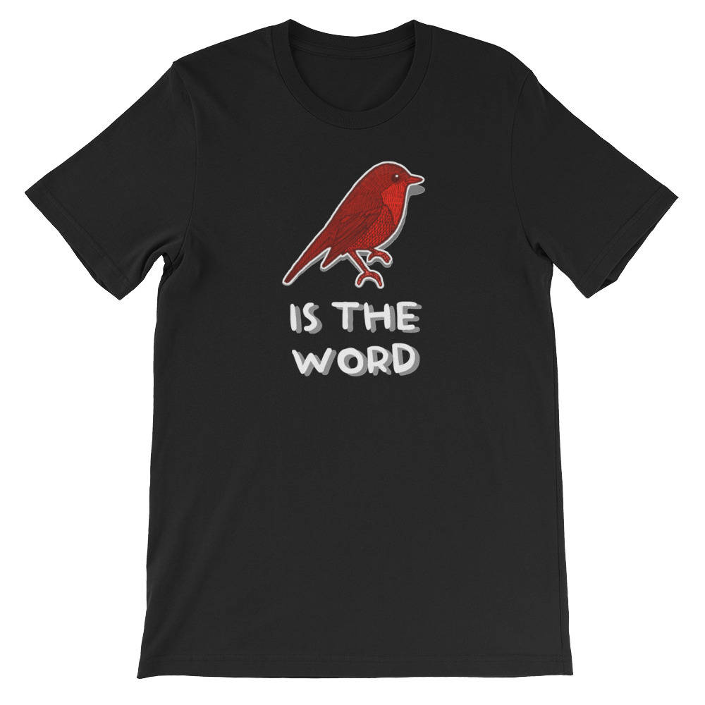 Birding Birdwatcing Geschenk T-Shirt Birding Birdwatcing Geschenk T-Shirt von HoopladaShop