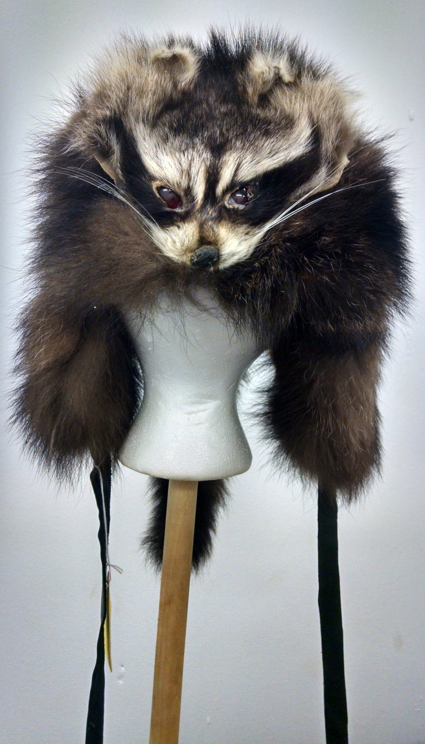 Waschbär Mit Gesicht Und Ohrenklappen von HootsFurs