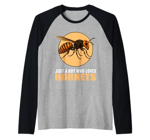 Herren Hornissen Hornisse Raglan Herren Hornissen Hornisse Raglan von Hornissen Hornisse Tier Shop