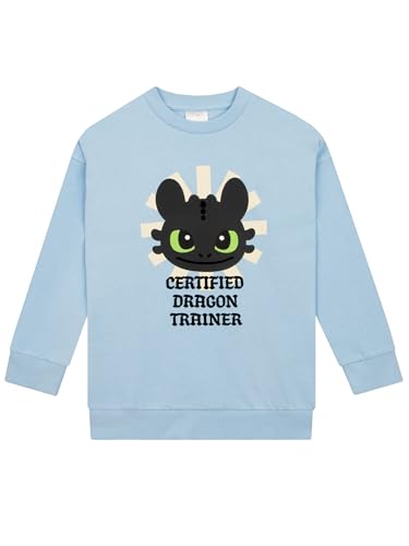 How To Train Your Dragon Pullover Mädchen, Toothless Sweatshirt Kinder Mädchen, Baumwolle Kinder Pulli, Blau 134 von How To Train Your Dragon