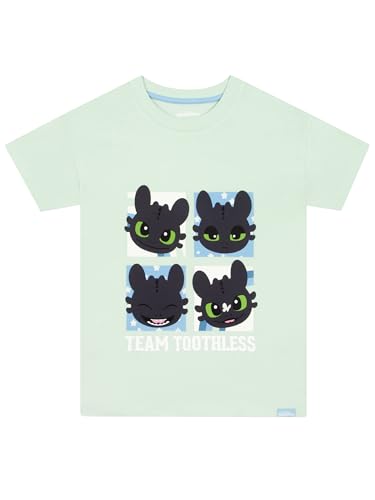 How To Train Your Dragon T Shirt Mädchen, Toothless Tshirt, T Shirt Kinder Für Den Sommer, Baumwolle Kinder Tshirt, Grün 158 How To Train Your Dragon T Shirt Mädchen, Toothless Tshirt, T Shirt Kinder Für Den Sommer, Baumwolle Kinder Tshirt, Grün 158 von How To Train Your Dragon