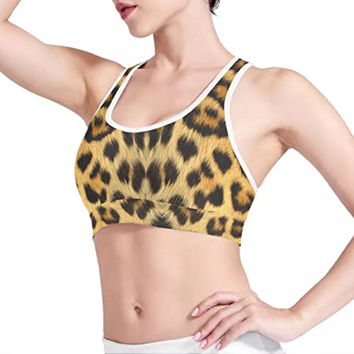 Howilath Damen Sport BH für Yoga Gym Wireless Gepolstert BHs Weste Dicker Riemen Crop Top, Streifen Totenkopf Aztec Tie Dye, leopard, M von Howilath