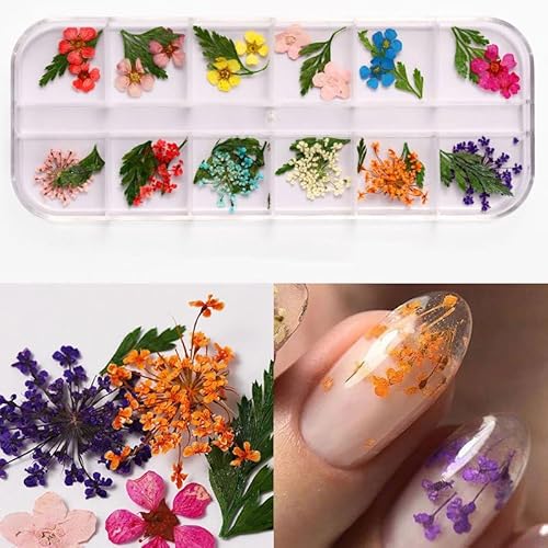 Huamengyuan Nagelaufkleber Diy nail kit Nagelsticker Nail Art Sticker 3D Nailart Sticker Getrocknete Blumen Nagelkunst Aufkleber für Harz Scrapbooking DIY-Kerze Schmuckanhänger Basteln Huamengyuan Nagelaufkleber Diy nail kit Nagelsticker Nail Art Sticker 3D Nailart Sticker Getrocknete Blumen Nagelkunst Aufkleber für Harz Scrapbooking DIY-Kerze Schmuckanhänger Basteln von Huamengyuan