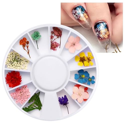 Huamengyuan Nagelaufkleber Diy nail kit Nagelsticker Nail Art Sticker 3D Nailart Sticker Getrocknete Blumen Nagelkunst Aufkleber für Harz Scrapbooking DIY-Kerze Schmuckanhänger Basteln Huamengyuan Nagelaufkleber Diy nail kit Nagelsticker Nail Art Sticker 3D Nailart Sticker Getrocknete Blumen Nagelkunst Aufkleber für Harz Scrapbooking DIY-Kerze Schmuckanhänger Basteln von Huamengyuan