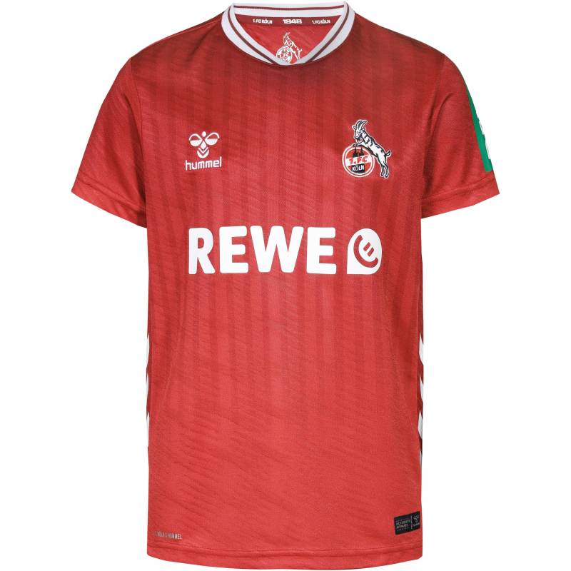 hummel 1. FC Köln 25-26 AWAY Teamtrikot Kinder von Hummel