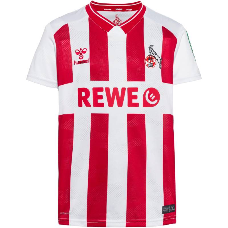 hummel 1. FC Köln 25-26 HOME Teamtrikot Kinder von Hummel