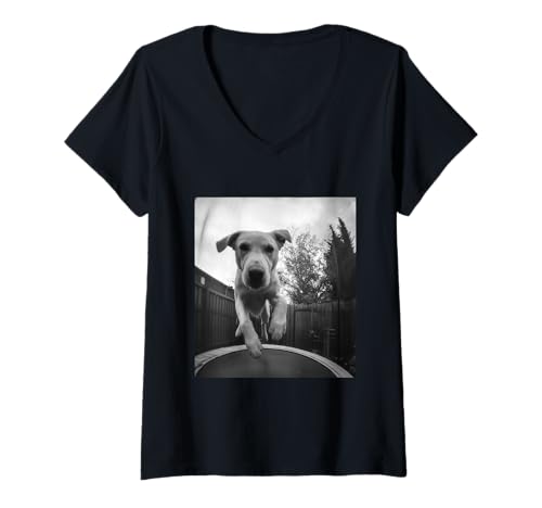 Damen Lustiger Labrador springt auf einem Trampolin Hund Liebhaber Grafik T-Shirt mit V-Ausschnitt Damen Lustiger Labrador springt auf einem Trampolin Hund Liebhaber Grafik T-Shirt mit V-Ausschnitt von Humorous Backyard Animals Wildlife Clothing