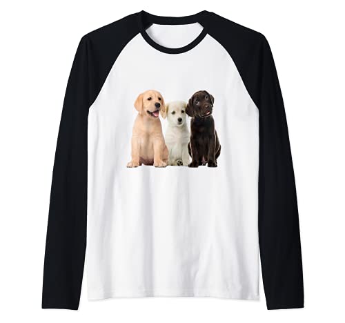 Damen Hunde Shirt Weltbeste Hundemama Golden Retriever Raglan Damen Hunde Shirt Weltbeste Hundemama Golden Retriever Raglan von Hundehalter Geschenk Golden Retriever T-Shirt