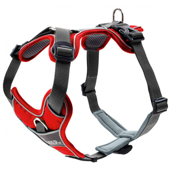 Hunter - Harness Divo - Hundegeschirr Gr Hals 19-32 cm, Bauch 34-47 cm - Breite 1,5 cm;Hals 22-38 cm, Bauch 45-56 cm - Breite 1,5 cm;Hals 30-42 cm, Bauch 52-68 cm - Breite 2,0 cm;Hals 34-50 cm, Bauch 56-73 cm - Breite 2,0 cm;Hals 40-59 cm, Bauch 72-100 cm - Breite 2,5 cm;Hals 46-67 cm, Bauch 79-107 cm - Breite 2,5 cm lightblue /grau von Hunter