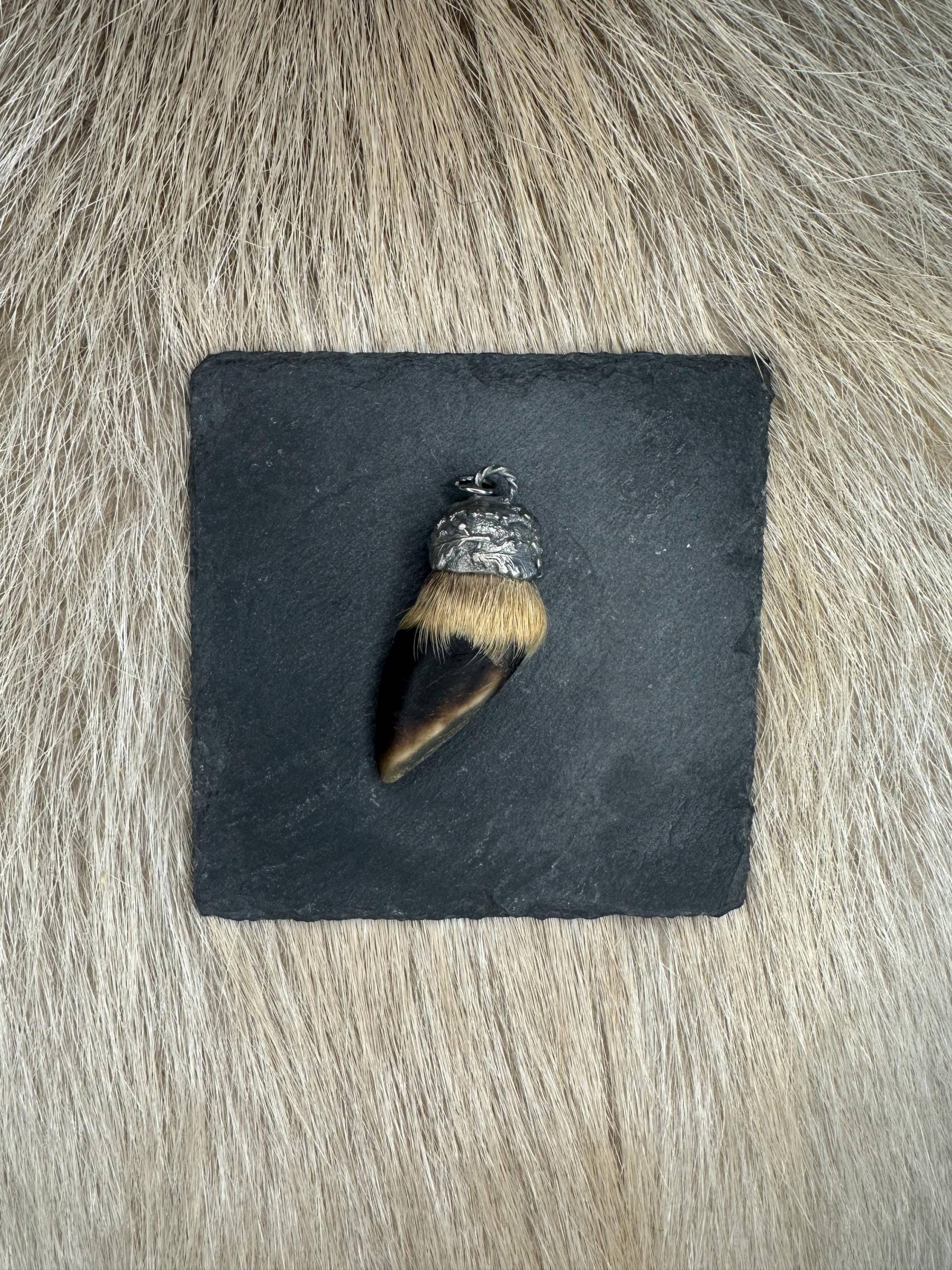 Anhänger Charivari Rehschale 1 Anhänger Charivari Rehschale 1 von HuntiDanti