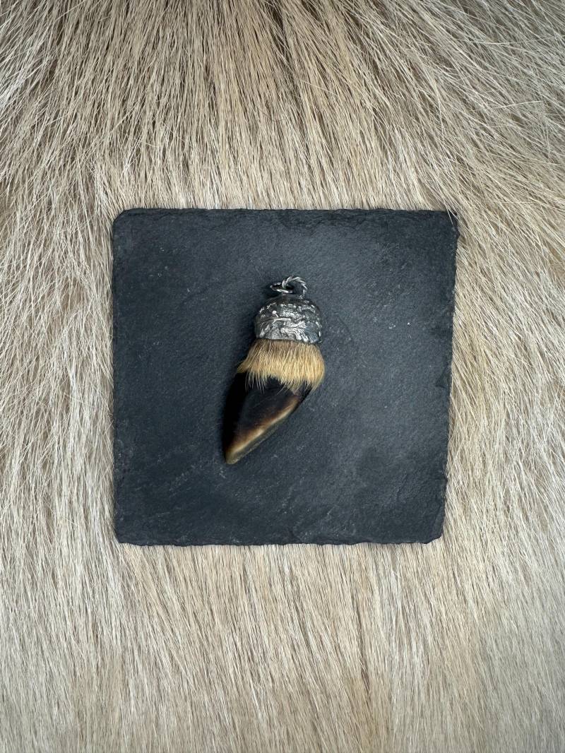 Anhänger Charivari Rehschale 1 Anhänger Charivari Rehschale 1 von HuntiDanti